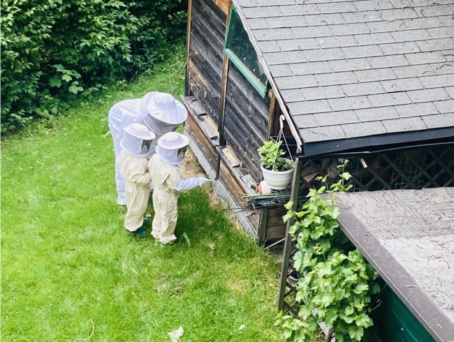 Die regelmäßige Pflege der Bienenvölker ist sehr wichtig