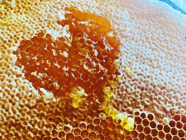 Unser Herz schlägt für Bienenhonig